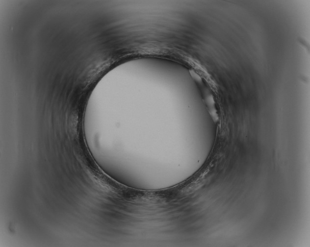 X0000091300201200708311343