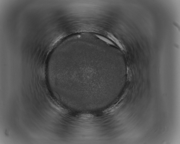 X0000091300203200708311343