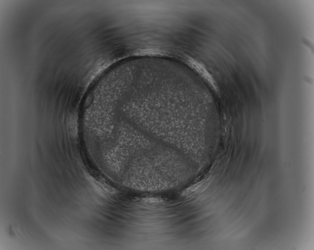 X0000091300204200708311343