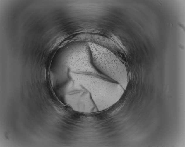 X0000091300205200708311343