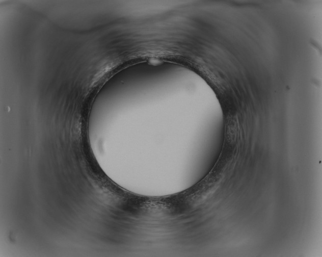 X0000091300207200708311343