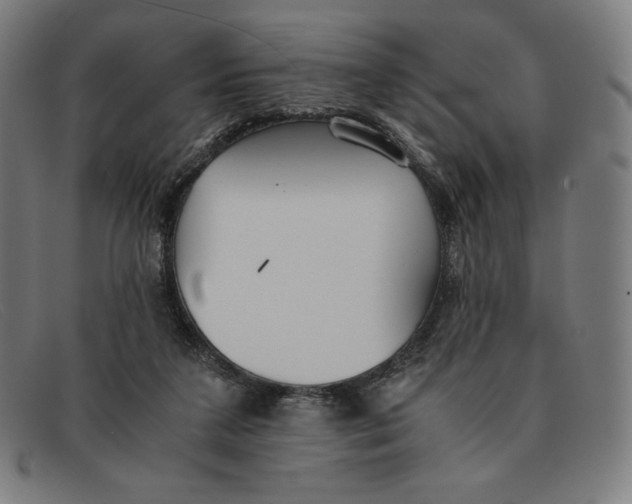 X0000091300211200708311343