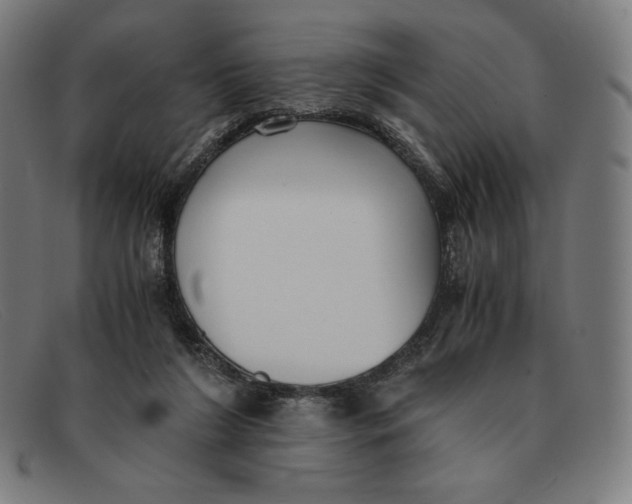 X0000091300212200708311343