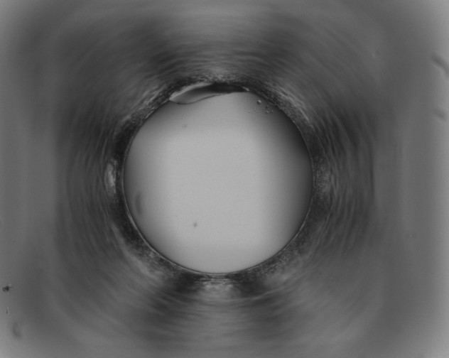 X0000091300214200708311343