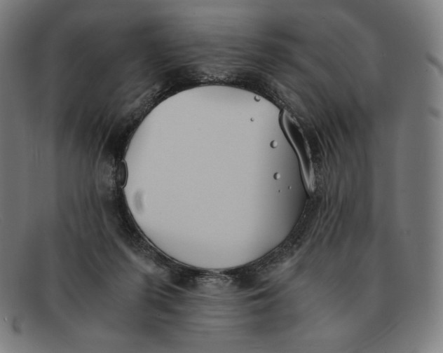 X0000091300215200708311343