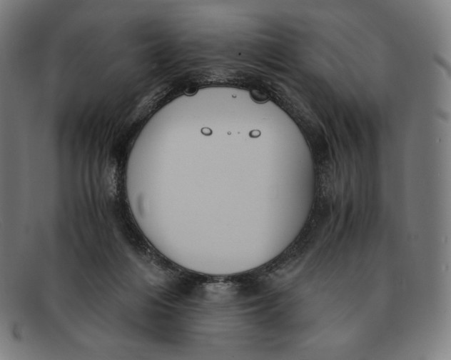 X0000091300216200708311343