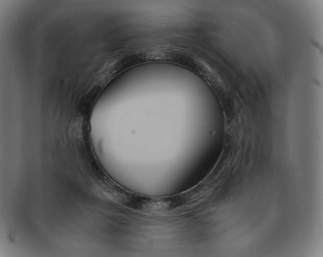 X0000091300217200708311343