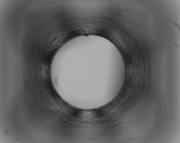 X0000091300218200708311343