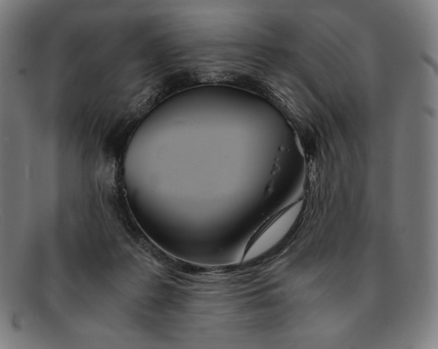 X0000091300219200708311343