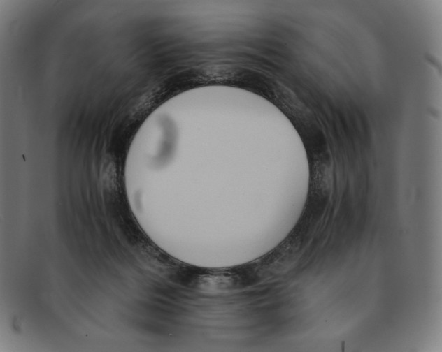 X0000091300220200708311343