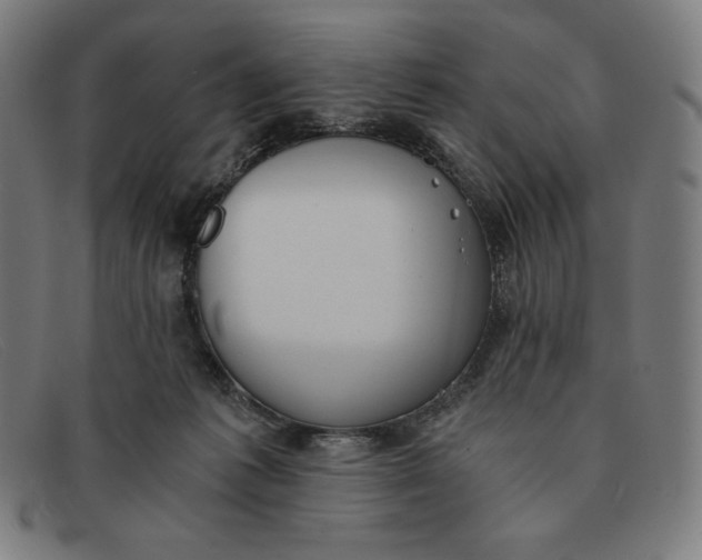 X0000091300221200708311343