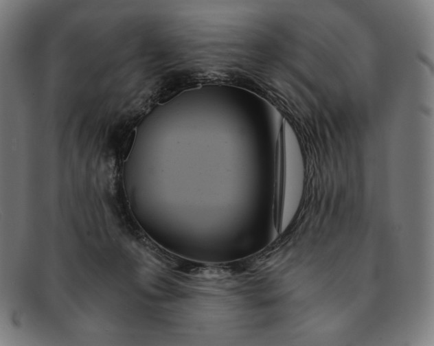 X0000091300223200708311343