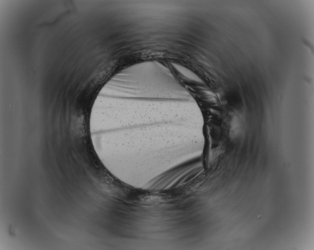 X0000091300224200708311343