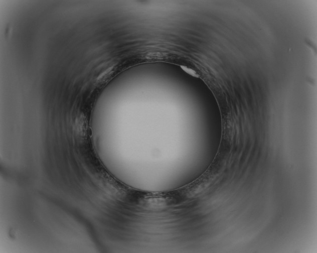 X0000091300228200708311343