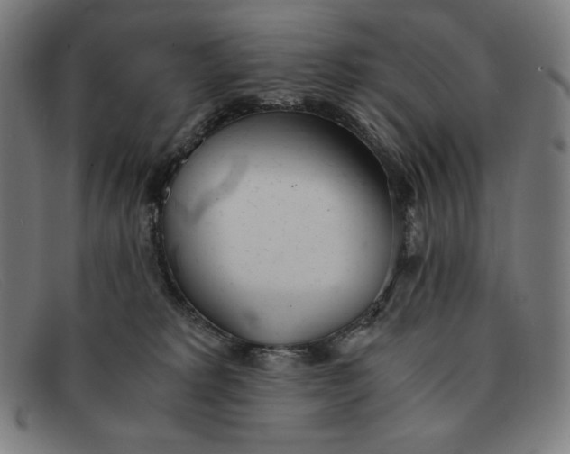 X0000091300229200708311343