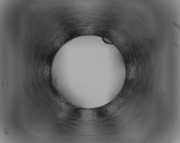 X0000091300230200708311343