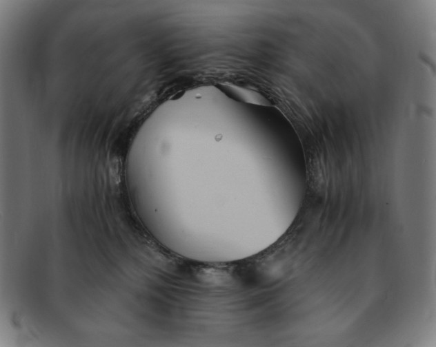 X0000091300232200708311343