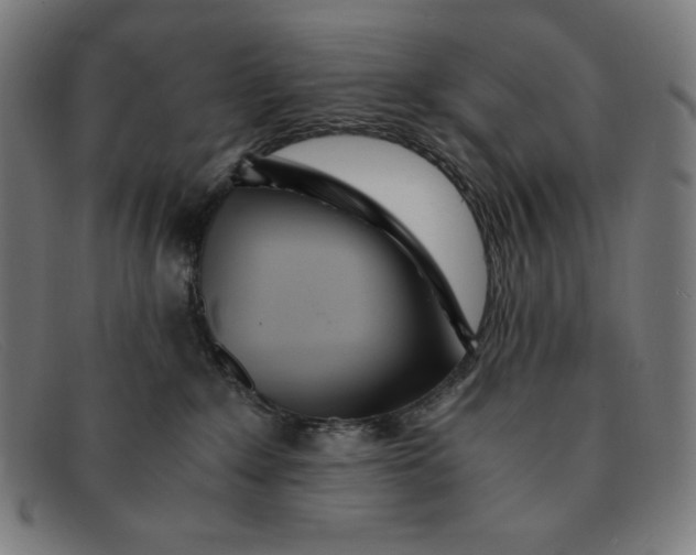 X0000091300235200708311343