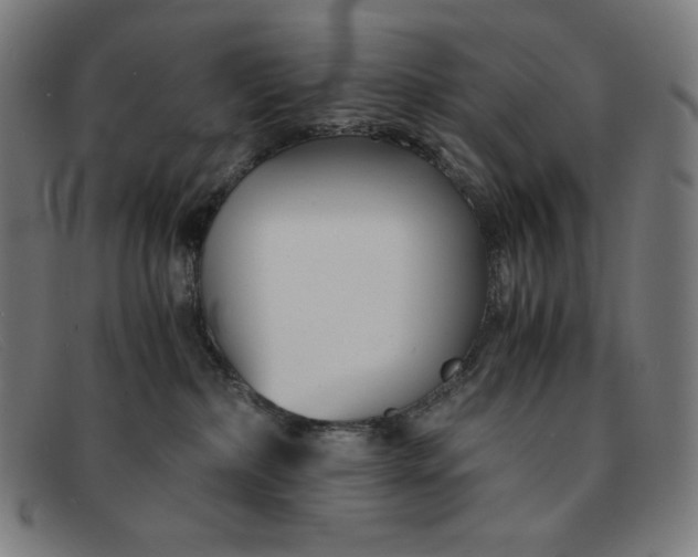 X0000091300236200708311343