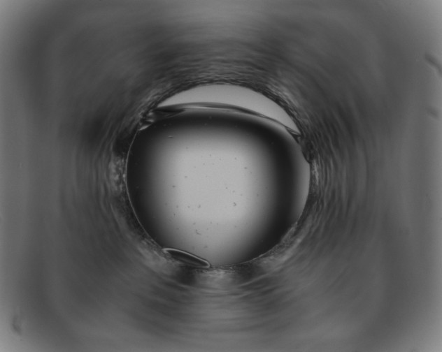 X0000091300237200708311343