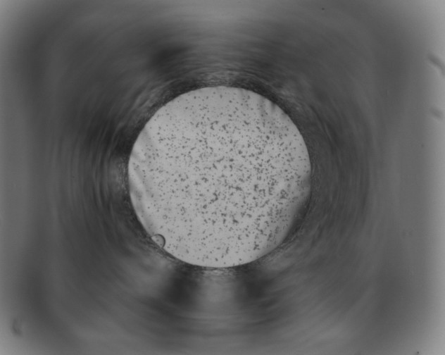 X0000091300240200708311343