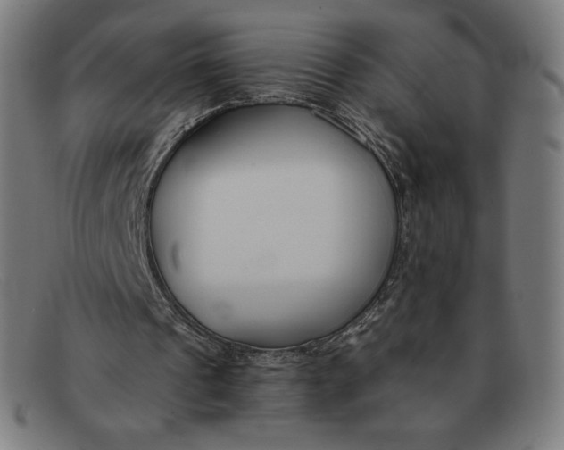 X0000091300241200708311342