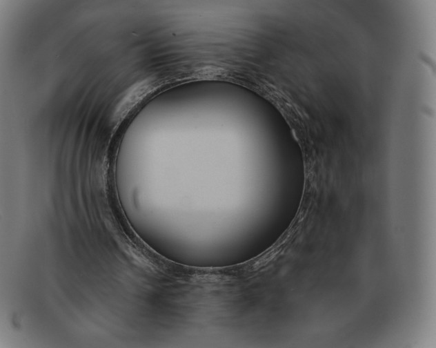 X0000091300242200708311342