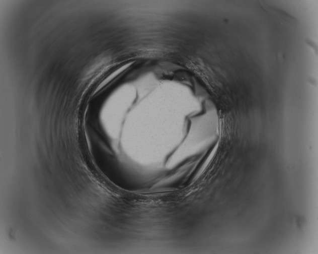 X0000091300243200708311342