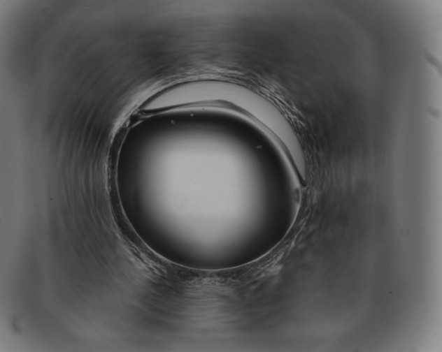 X0000091300244200708311342