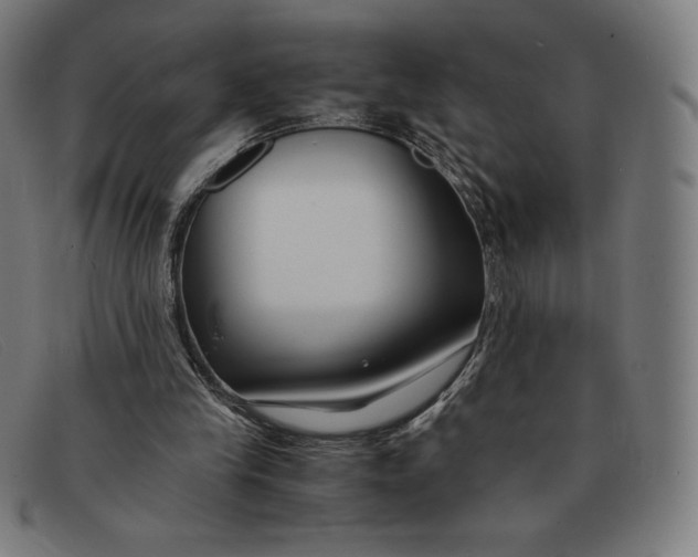 X0000091300245200708311342