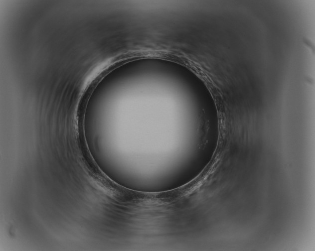 X0000091300246200708311342