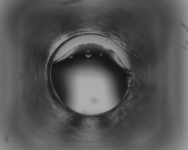 X0000091300248200708311342