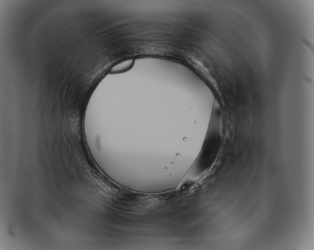 X0000091300249200708311342