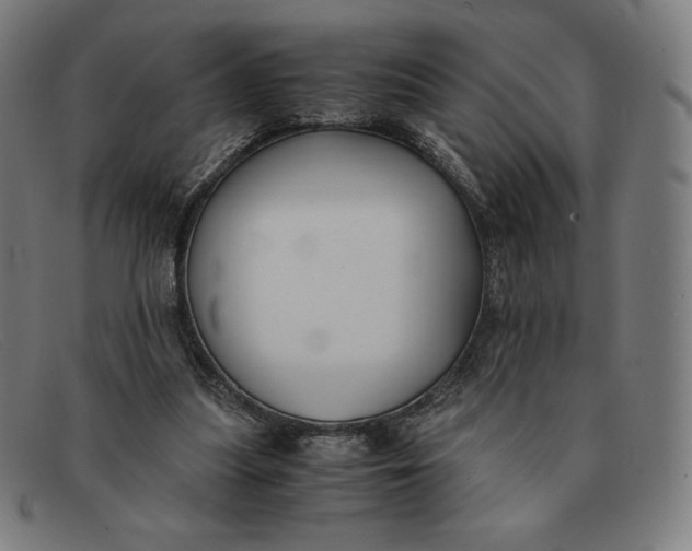 X0000091300251200708311342