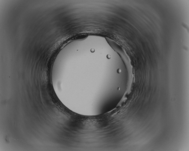 X0000091300252200708311342