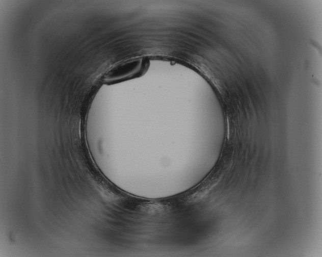 X0000091300253200708311342