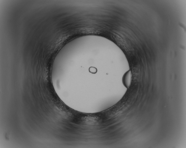 X0000091300255200708311342