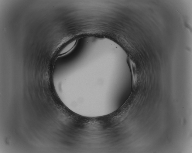 X0000091300256200708311342