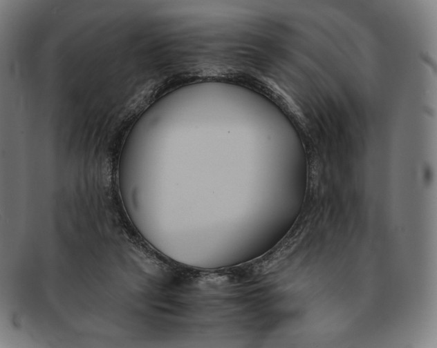 X0000091300257200708311342