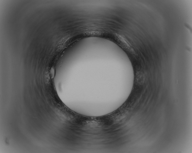 X0000091300259200708311342