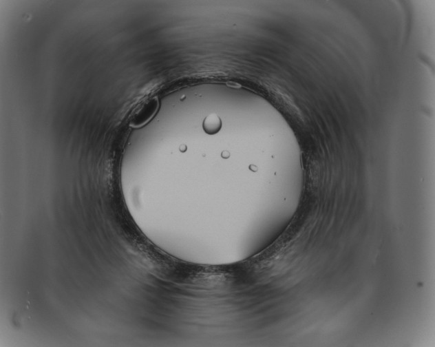 X0000091300260200708311342