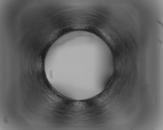 X0000091300261200708311342