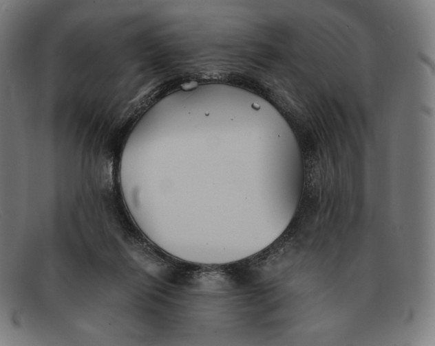 X0000091300262200708311342