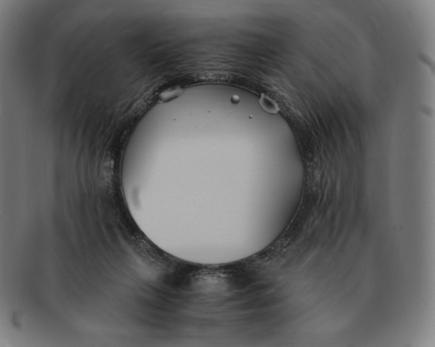 X0000091300263200708311342