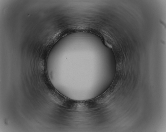 X0000091300264200708311342