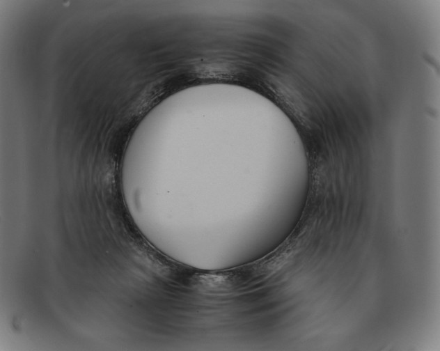 X0000091300265200708311342