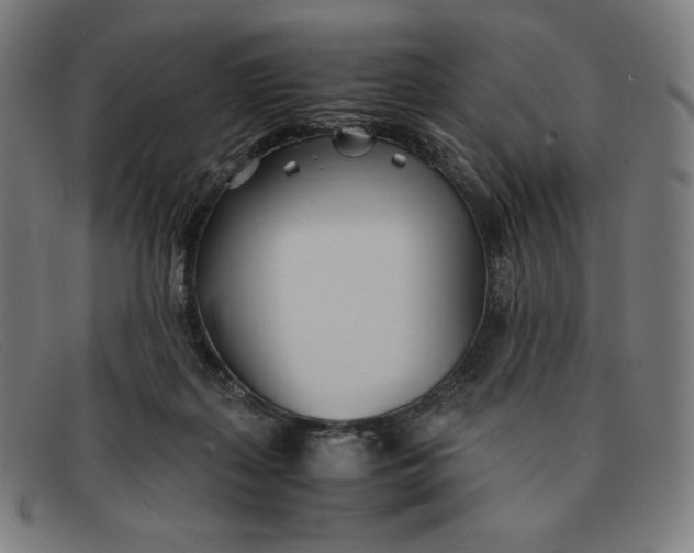 X0000091300267200708311342