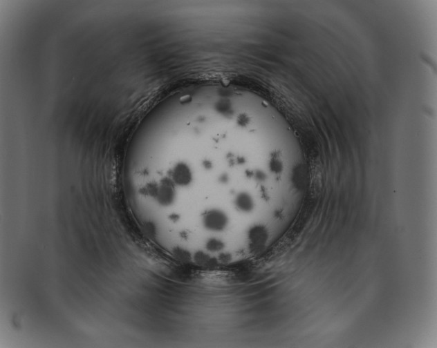 X0000091300268200708311343