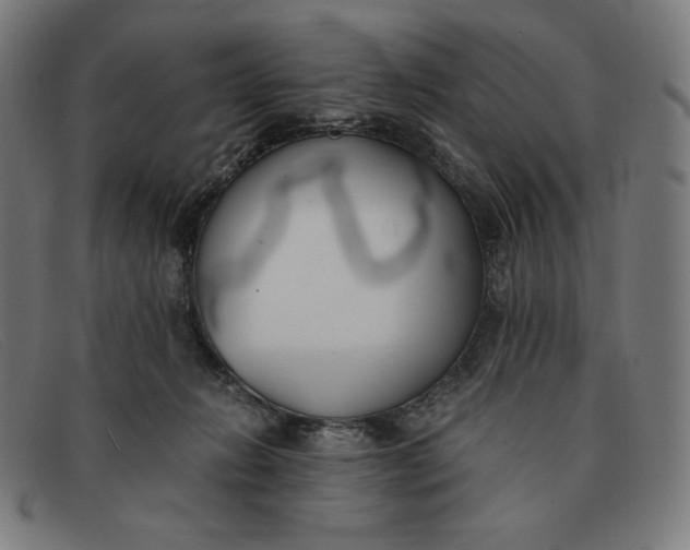 X0000091300270200708311343