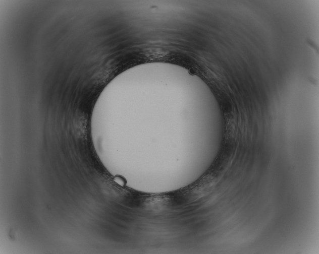 X0000091300274200708311343